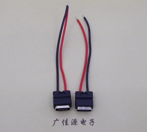 甘肃type c2p防水母座焊线式带线注塑成型带接线端子/不带接线端子充电连接器