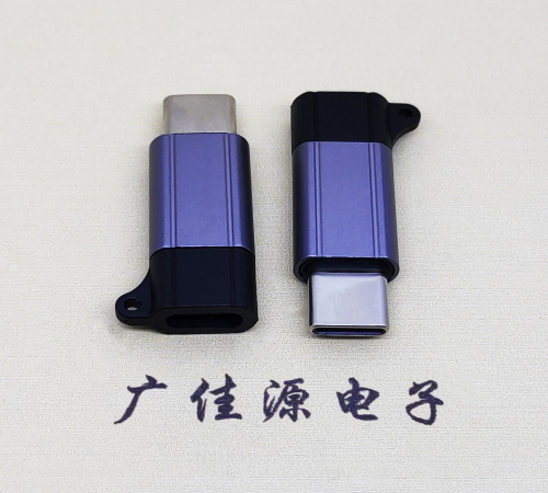 甘肃Type-C母转Type-C公 USB3.1 PD100W快冲接口